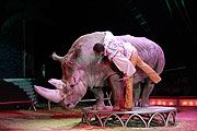 Nashorn mit MartinLacey jr (©Foto: Martin Schmitz)